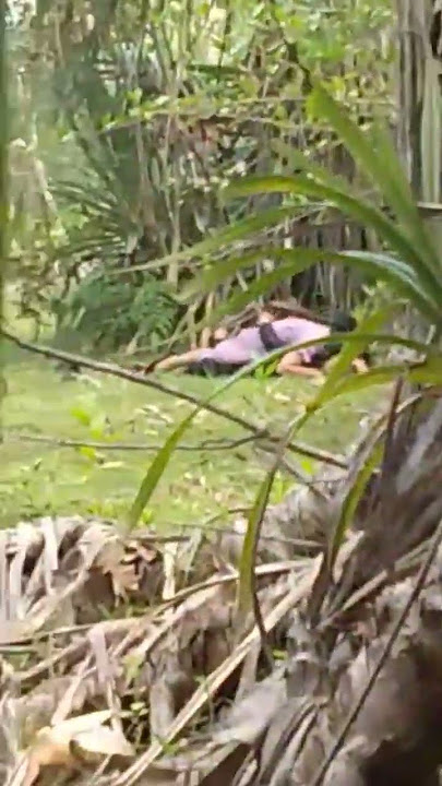 Dua sejoli Main di semak semak/Viralpart 1#shortsvideo
