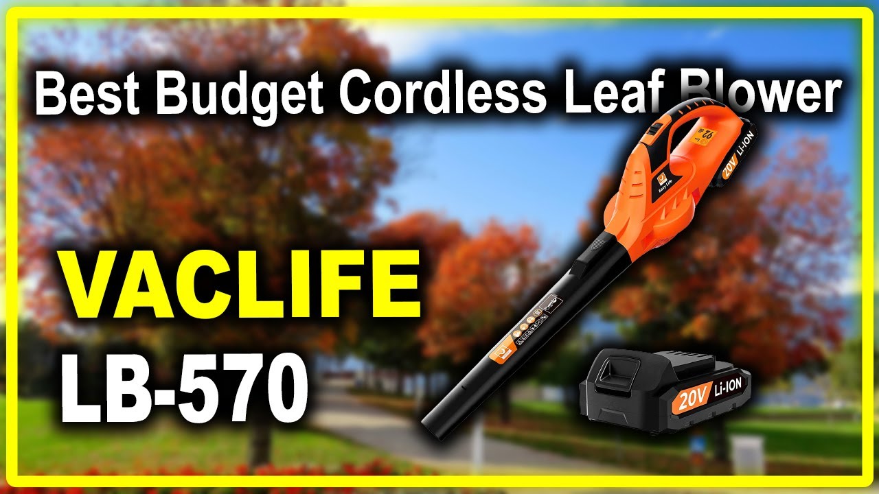 VacLife LB570 Cordless Leaf Blower for Snow Blowing & Lawn Care Best