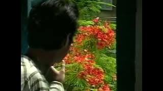 Nhạc ngọc sơn - thập niên 1990