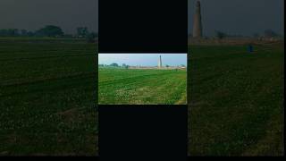#sahijutt #sahi4 #pendu #farming #desi vibes #pindlife #punjab #foryou