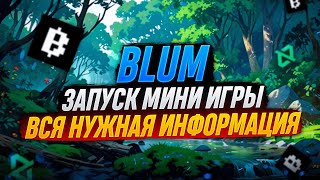 BLUM ЛУЧШИЙ ПРОЕКТ 24 ГОДА | ВАЖНЫЕ ОБНОВЛЕНИЯ | ЧТО ЖДЕТ ПРОЕКТ ДАЛЬШЕ?