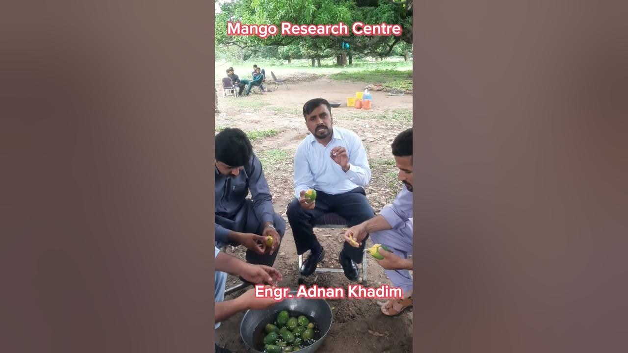 Establishment Of Mango Research Centre At Watala establishment-of-mango-research-centre-at-watala