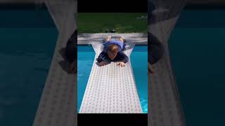 MiniMajk i czołganie XD!  #dc #dlaciebie#viral #fypage #friz #ekipa #minimajk #fypage #foryou