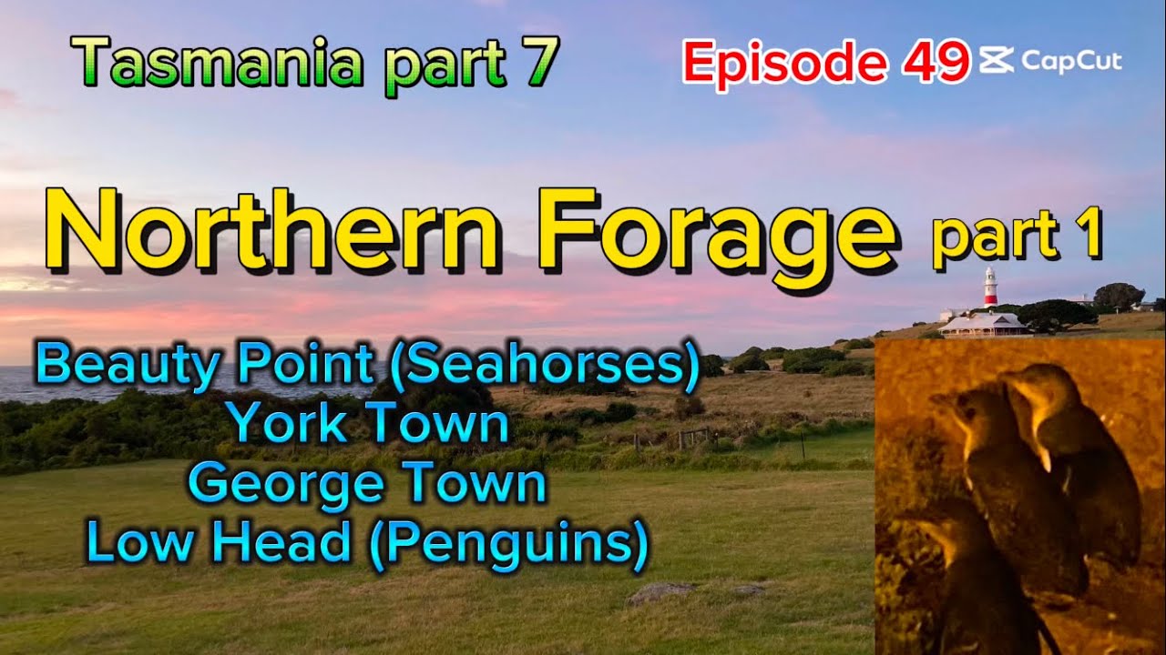 Northern Forage - Tasmania part 7