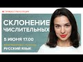 Русский язык | Склонение числительных