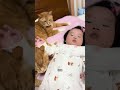 Man is your child born for me#The joy of keeping cats#How reluctant the cat is to take car