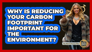 Why Is Reducing Your Carbon Footprint Important For The Environment? - The Rich And Famous Files