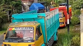 kumpulan truck umplung menolak punah