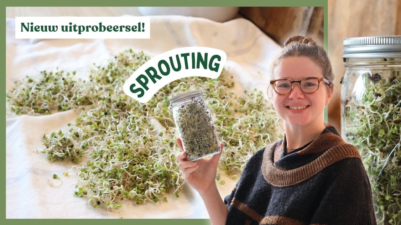 Sprouting | Nieuw experiment! | Toch wat kweken in de winter