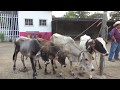 El Tiangue de Santa Elena, Usulután, El Salvador. La gente de El Salvador  es trabajadora.