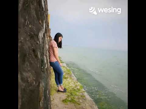 วิดีโอนี้มาจาก WeSing