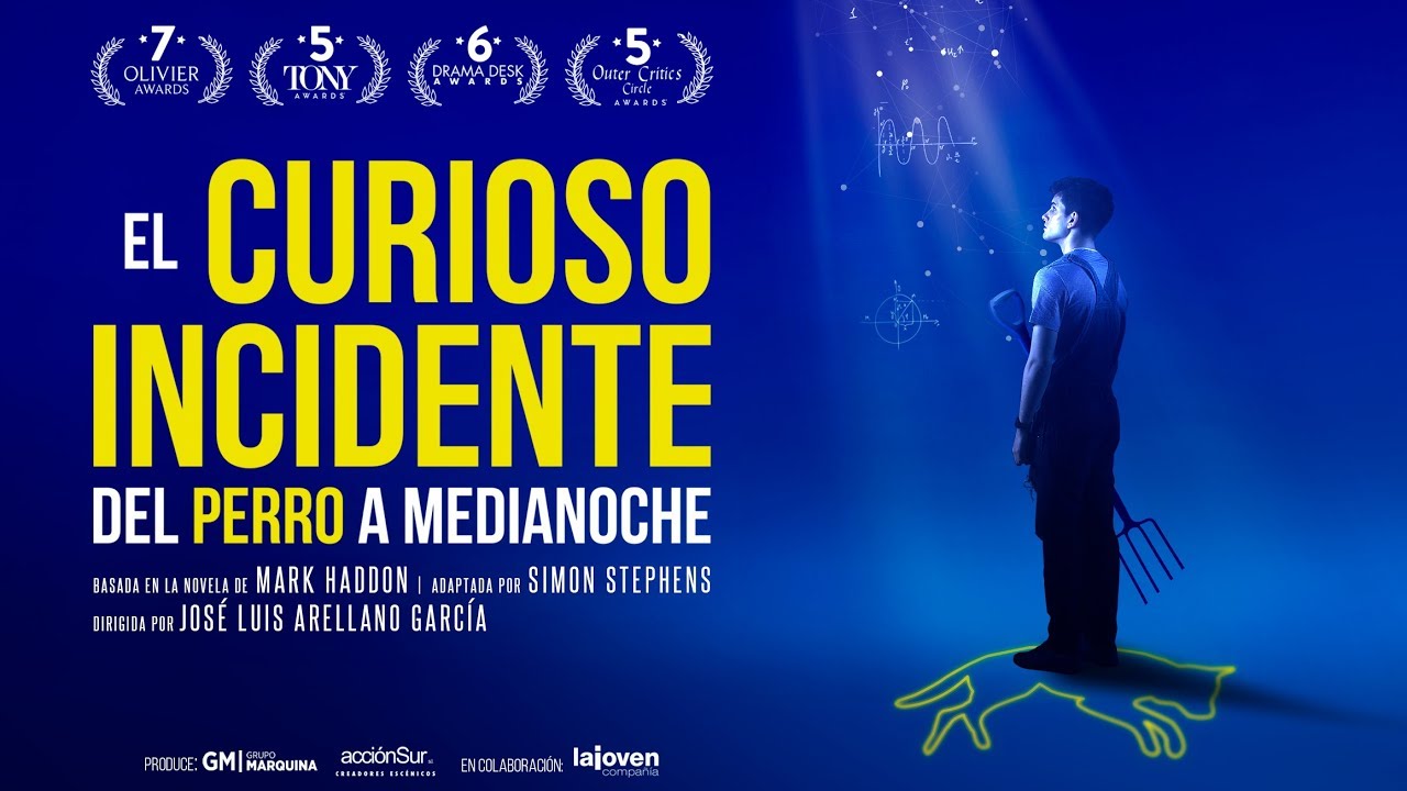 El curioso incidente del perro a medianoche | TEASER - YouTube