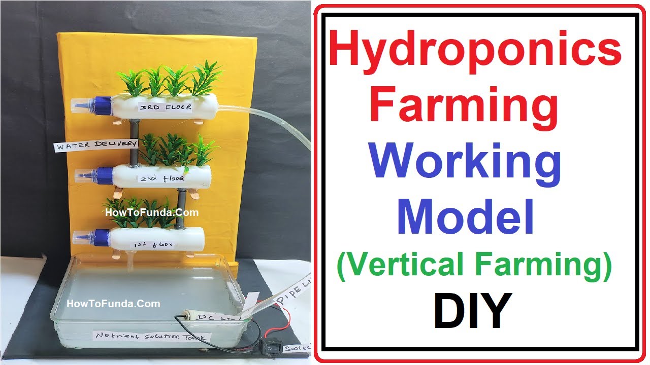 hydroponics farming(agriculture) working model (vertical) inspire
