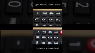Sony 100Mm Vs Sigma 105Mm - Macro Video Shootout