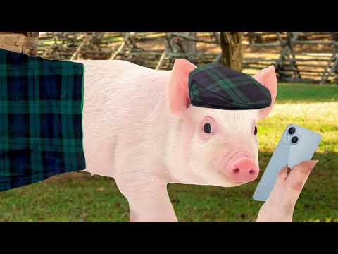 RETURN OF THE PIGGE