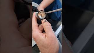 Grass seed removal from dog's nostril. Two Counties Vets.