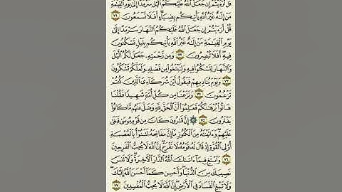 سورة القصص من الآية ٧١ إلى الآية ٧٧بصوت القارئ ماهر المعيقلي