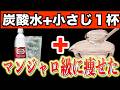 【マンジャロ級!?】炭酸水に小さじ1杯だけで2週間で−14キロ!?痩せホルモンが2倍になる黄金レシピTOP7で夏まで勝手に痩せる食べ物と避けるべき食べ方【ダイエット整体師｜40代50代ダイエット