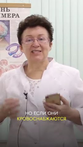 Код Здоровья Ольги Шишовой Книга Купить