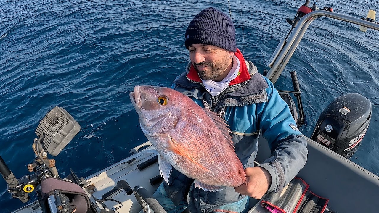 ΜΕΣΟΠΕΛΑΓΟ ΨΑΡΕΜΑ ΓΙΑ ΤΣΑΟΥΣΙΑ ΚΑΙ ΦΑΓΚΡΙΑ 🎣