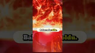 Tatlı Bir Kedi Videosu