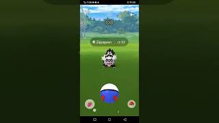 Hundo G Zigzagoon Pokemon go