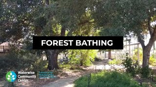 Waterwise Community Center: Forest Bathing