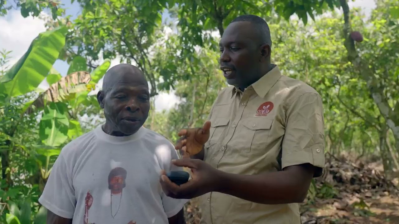 Cocoa Horizons   Creating a brighter future