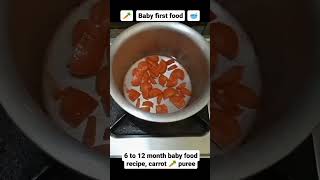 6 to 12 month baby food recipe carrot ? puree
