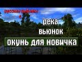 Русская рыбалка 4(рр4) - река Вьюнок. Окунь для новичка.