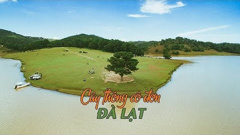 Đừng đi "Cây thông cô đơn" Đà Lạt nếu chưa xem video này | Vlog3 | Dativivu