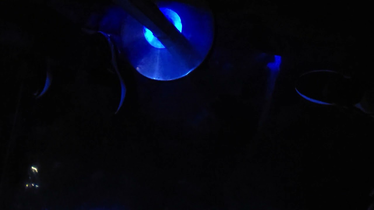 Newport Aquarium, Aquarium in Cincinnati. Louisville, Kentucky. United