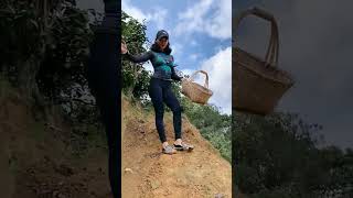 My Fresh Life in The Rural Mountaint  nature amazing shorts viral short ??