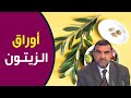 كيف يتم استعمال أوراق الزيتون لخفض الضغط ؟ / محمد الفايد / نخل ورمان