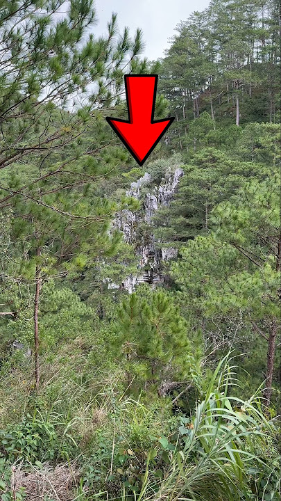 STRANGEST Burial You'll EVER See! 😱