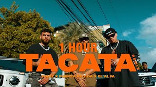 [1 Hour] Tiagz X Fuerza Regida X El Alfa - Tacata (Remix)