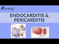 Lets break down these two big words!! "Endocarditis and Pericarditis" (Nursing School Lesson)