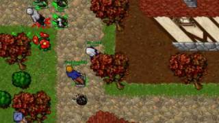 Tibia noob lurer