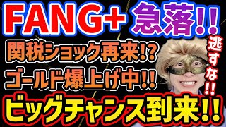 [Big Opportunity Arrives] FANG+ Plummets!! Gold Soars!! Don't Miss This Chance!! [NASDAQ, US Stoc...