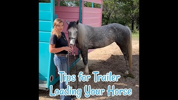 Tips for Trailer Loading Your Horse
