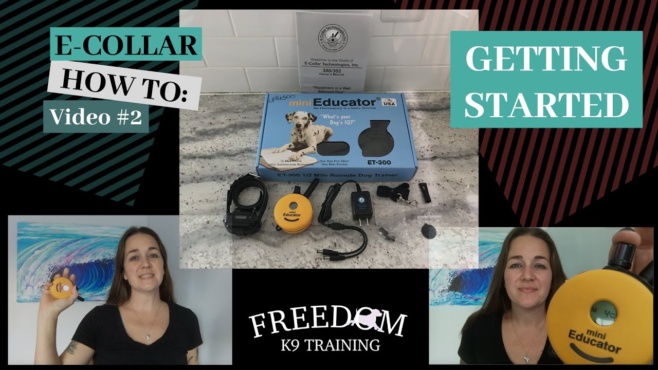 ECollar How To Getting Started (video 2) Freedom K9 Training YouTube