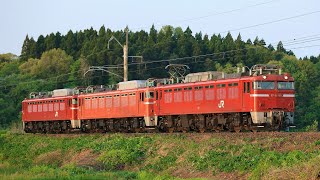 2025/5/15 EF81 97・EF81 141 廃車回送