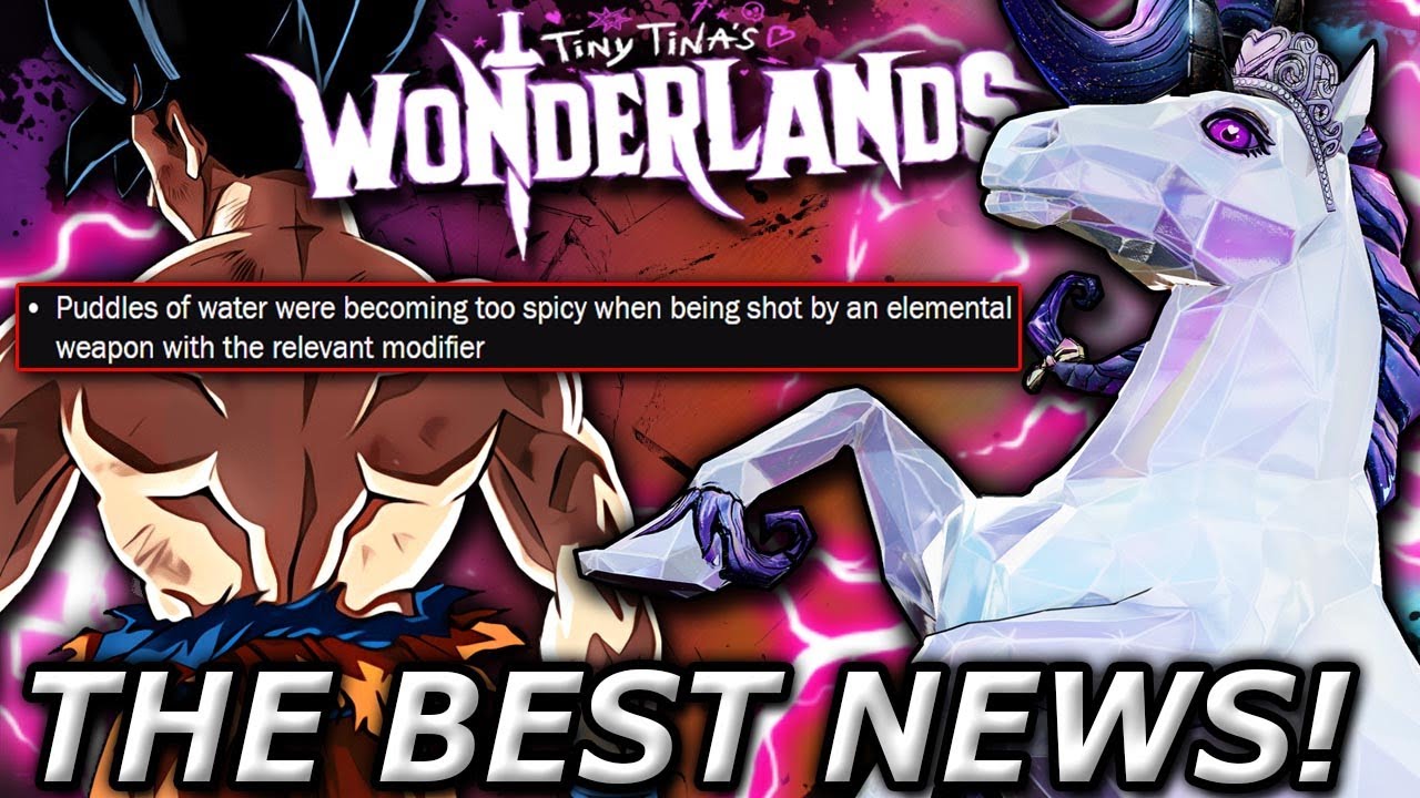 This one *FIX* just *SAVED* us all in Wonderlands (No More Mayhem Puddles)