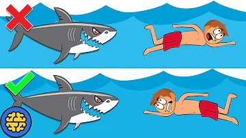 ¿Por qué le tocas la nariz a un tiburón?