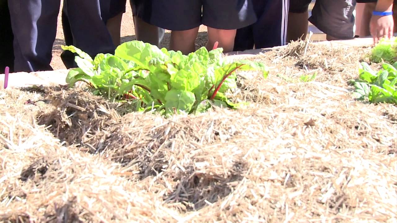 Building the Education Revolution Gold Creek