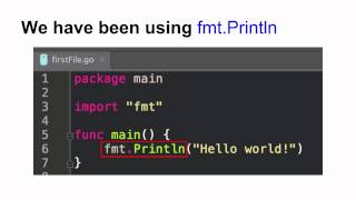 golang fmt package variadic parameters
