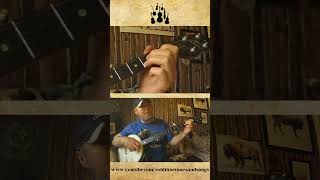 Sugar In The Coffee  - Clawhammer Banjo  #banjomusic #clawhammerbanjo #oldtimemusic #shorts #music
