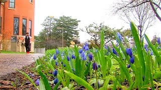 Postcard from Campus: After the Rain