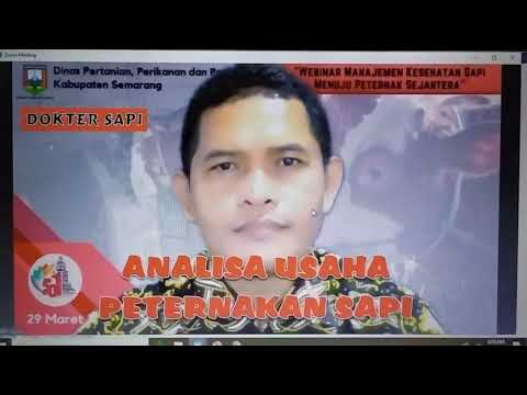 Video: Pembuatan sabun di rumah sebagai bisnis: fitur, kelebihan dan kekurangan, profitabilitas