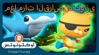 أوكتونوتس |  🏴‍☠️ مغامرات القراصنة كوازي! 😼 | حلقات مجمعة